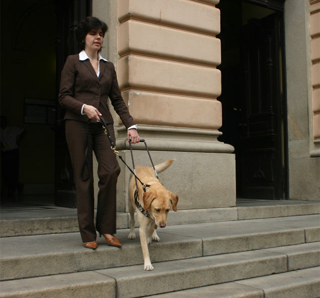 woman descending stairs with guide dog